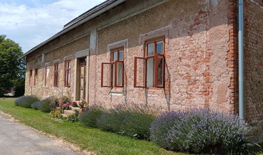 Obraz wstępny